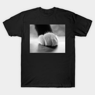 Tuxedo cat paw black and white T-Shirt